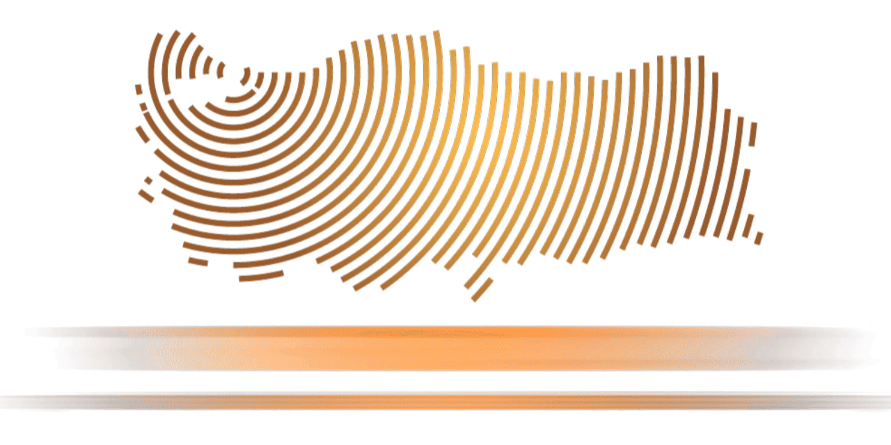 Tora Logo